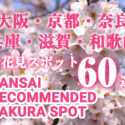 【2024年関西】大阪・京都・奈良・兵庫・滋賀・和歌山の桜のお花見おすすめスポット10選をご紹介