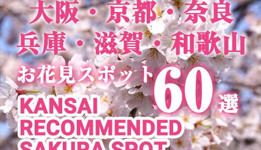【2024年関西】大阪・京都・奈良・兵庫・滋賀・和歌山の桜のお花見おすすめスポット10選をご紹介