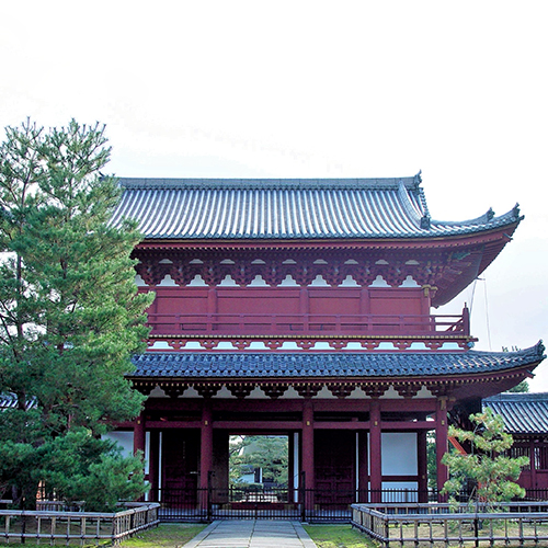 Myoshinji Temple 妙心寺
